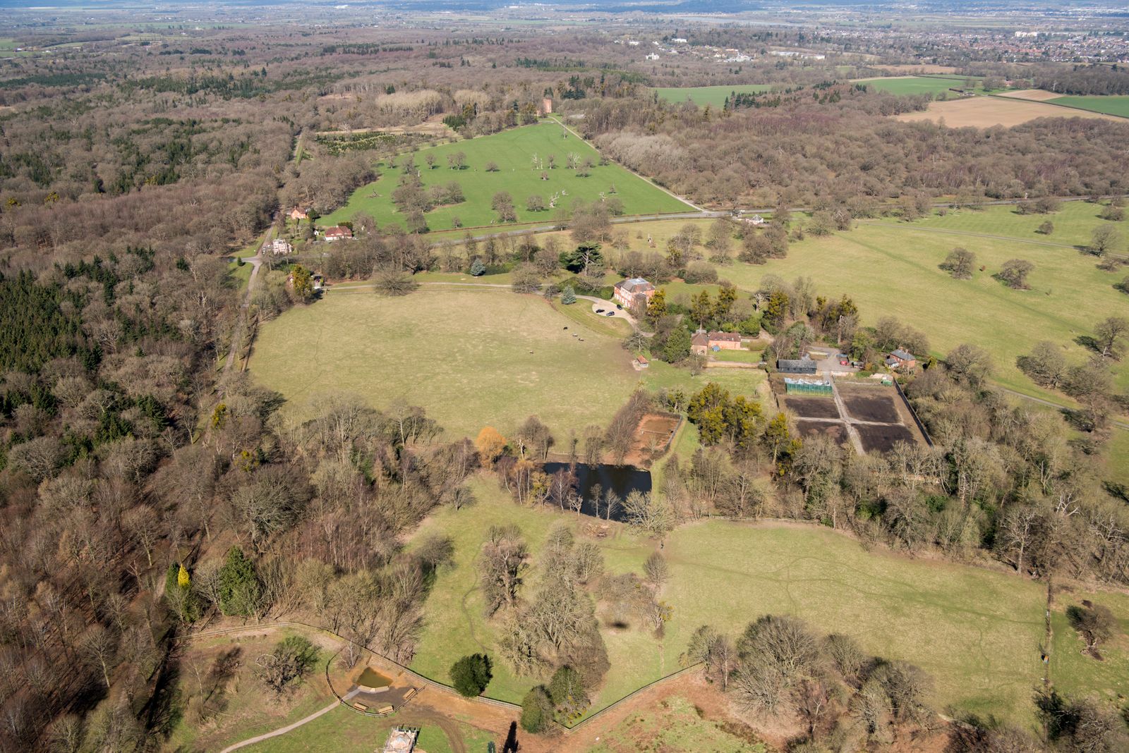 Image may contain Outdoors Nature Land Plant Vegetation Countryside Tree Woodland Rural Aerial View and Farm