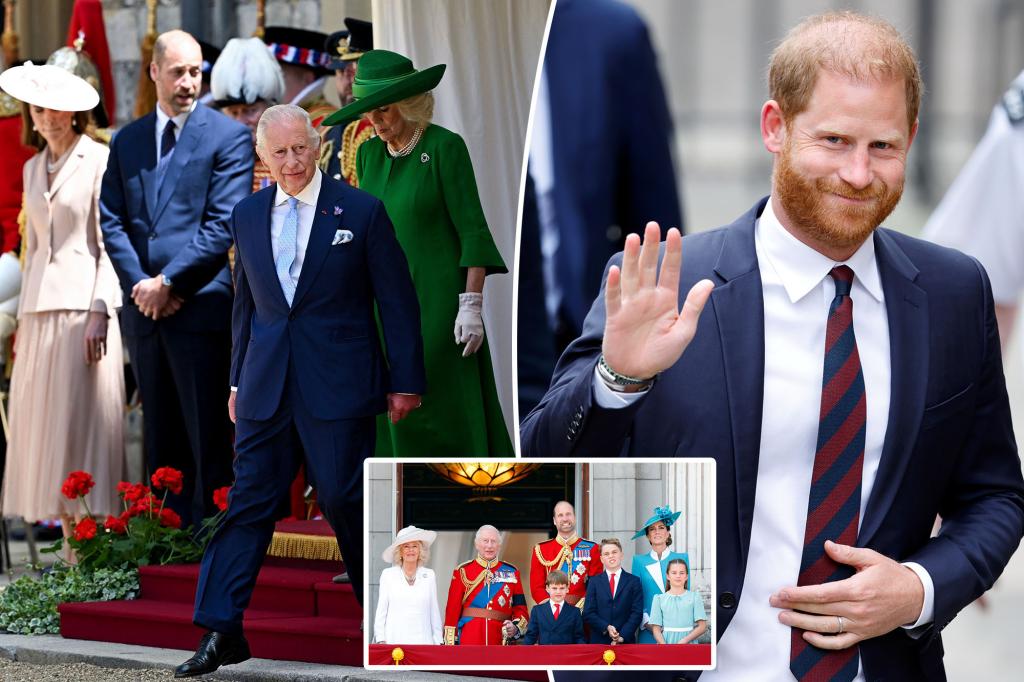 Prince Harry offers to share his personal diary with the royals in attempt to 'deconflict': report