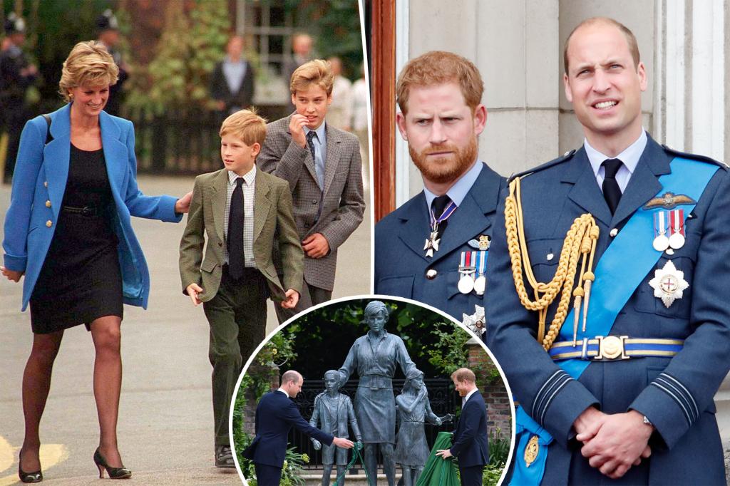 What Princess Diana would’ve done about Prince Harry, William’s ongoing rift, according to her biographer What Princess Diana would've done about Prince Harry, William's ongoing rift, according to her biographer