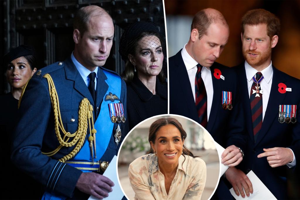 Prince William’s mistrust of Meghan Markle is derailing peace with Prince Harry: author Prince William’s mistrust of Meghan Markle is derailing peace with Prince Harry: author