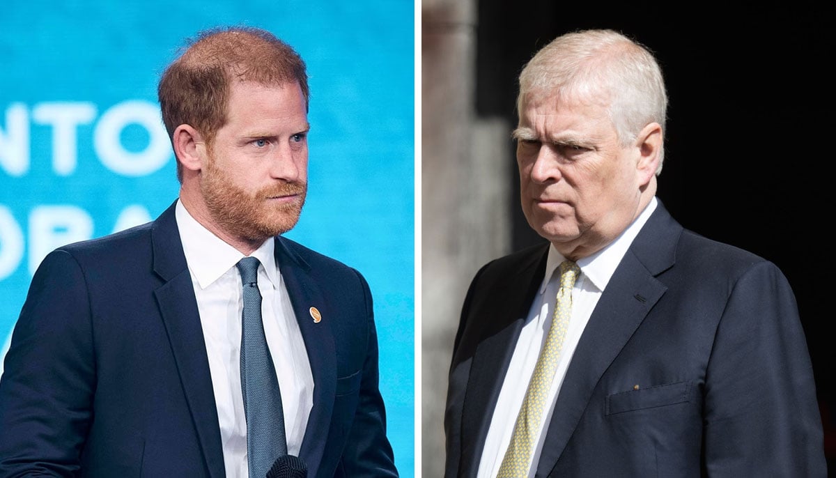 Prince Harry launches himself in new legal battle with Prince Andrew