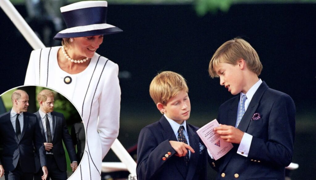 Princess Diana’s hidden treasure uncovered as William, Harry clash looms