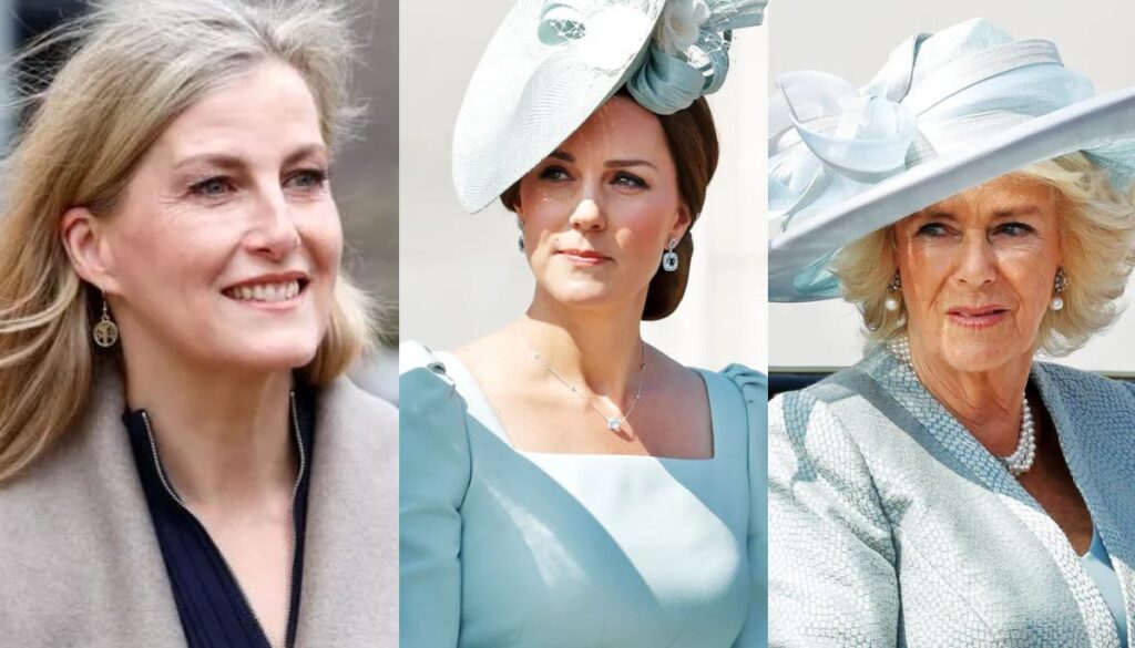 Sophie emerges as key figure 'bridging' Royals Camilla, Kate