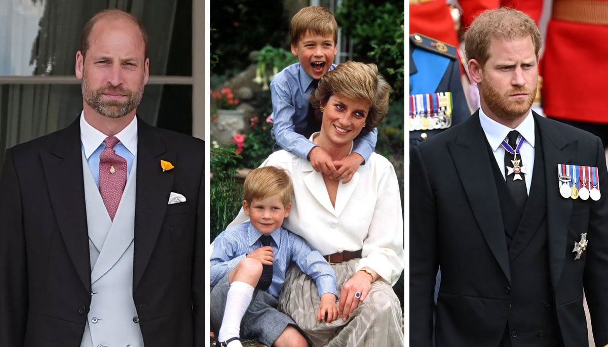 Prince William receives emotional reminder about Diana’s wish for Harry