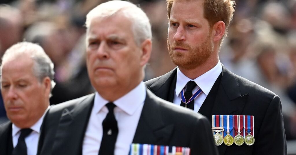 Prince Harry accused of ‘punching’ Prince Andrew over Meghan Markle comment trust project logo