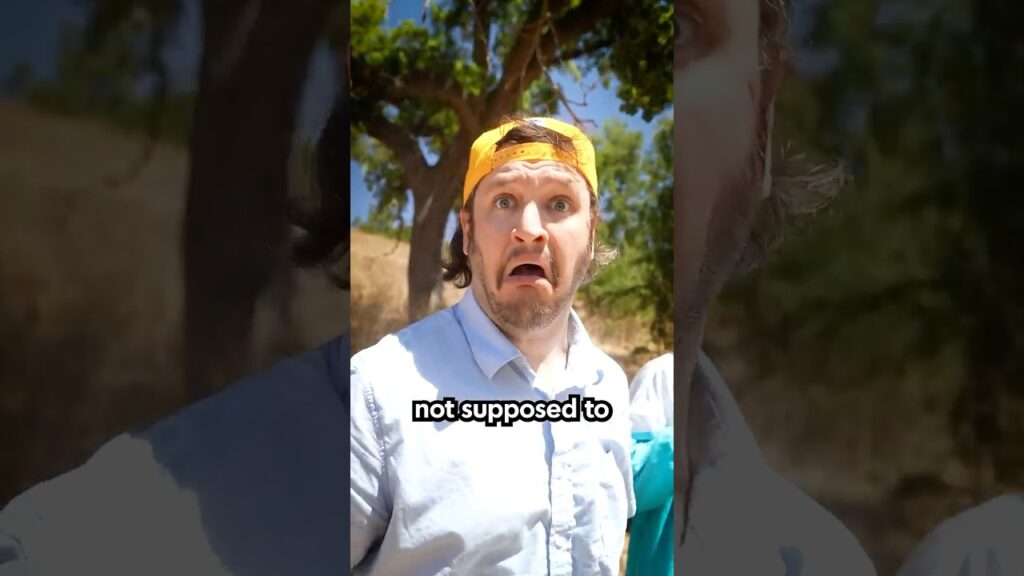 How To Survive Seeing Something You Shouldn't Have