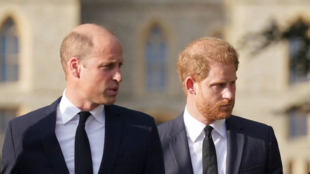 Controversial rule preventing Prince William and Prince Harry from inheriting Princess Diana’s home Controversial rule preventing Prince William and Prince Harry from inheriting Princess Diana's home