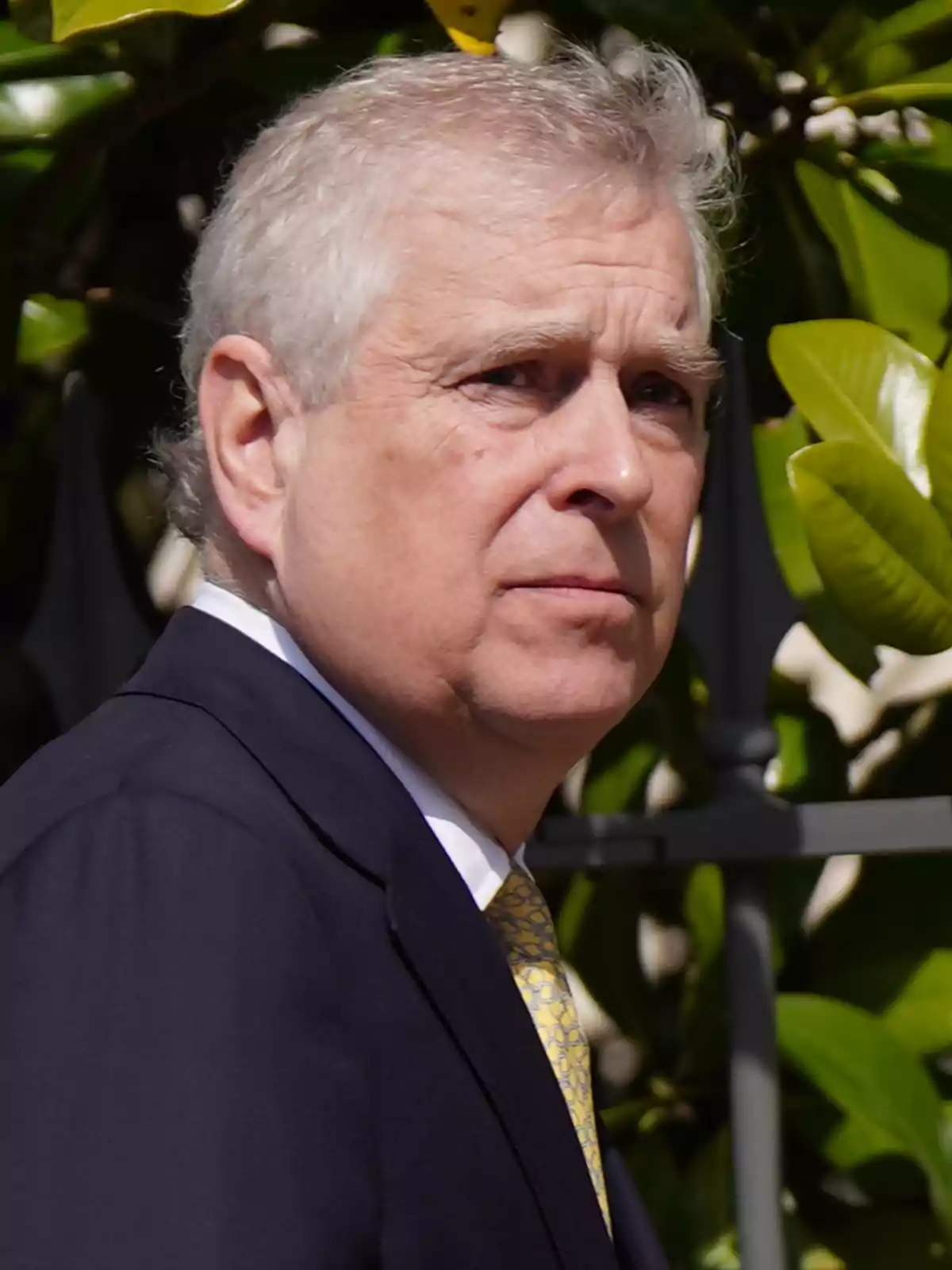 Prince Andrew in a dark suit and yellow tie, in profile, outdoors with green leaves in the background