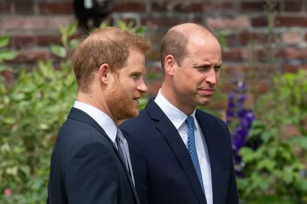 Prince Harry, Prince William