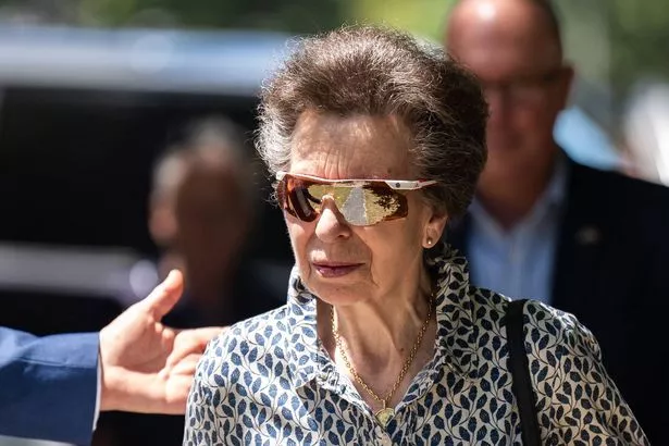 The Princess in South Africa earlier this year 