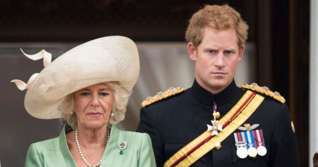 ‘I lived with Prince Harry for years – his brutal claim about Camilla doesn’t add up’ Ipso logo