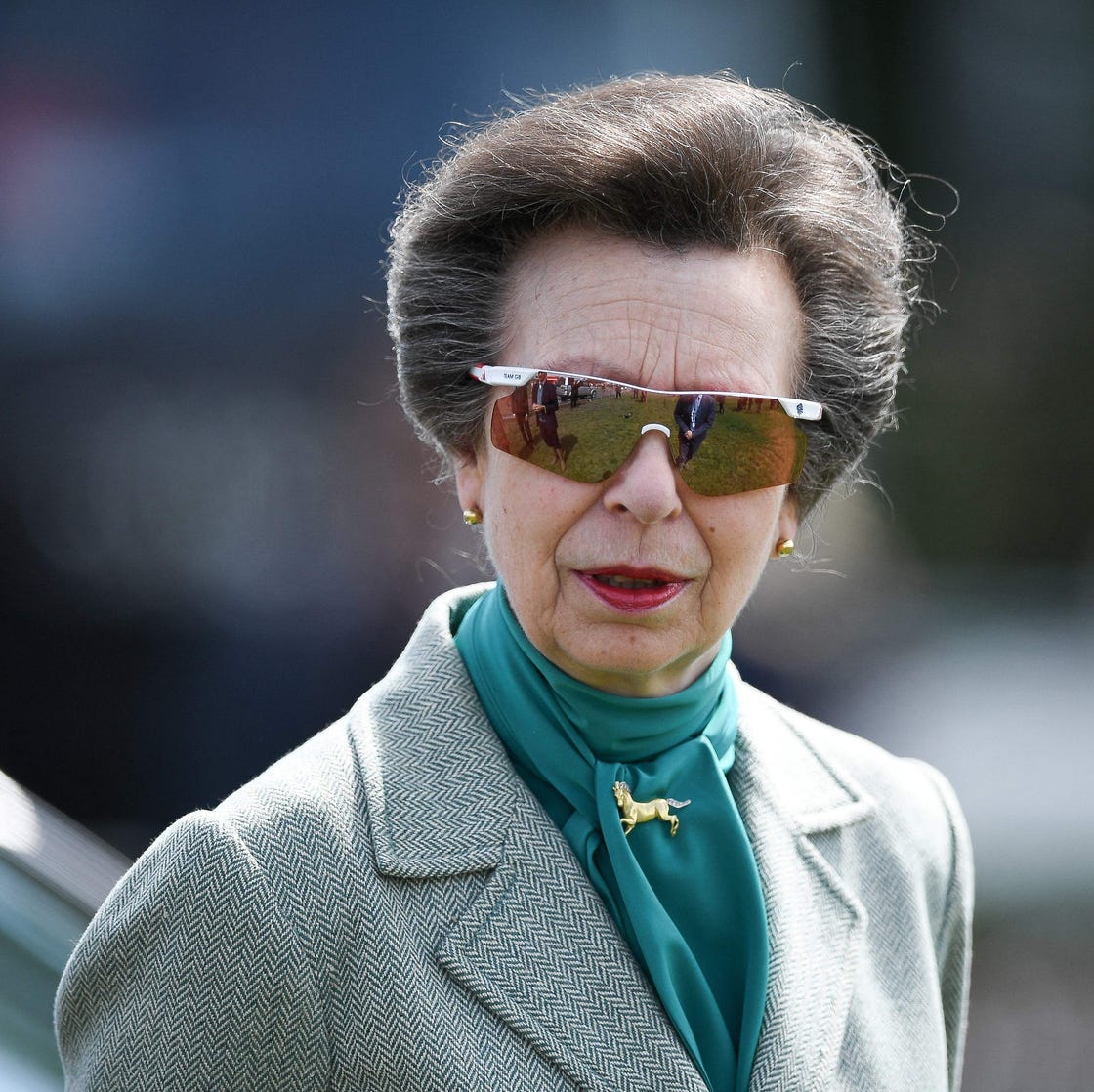 BRITAIN-ROYALS britains princess anne, princess royal, attends the annual royal windsor horse show in windsor, west of london, on may 10, 2019. the horse show is the largest outdoor equestrian show in the uk, started originally in 1943 to help raise funds for the war effort, and has continued to run every year since, and is the only show in the uk to host international competitions in showjumping, dressage, driving and endurance. (photo by daniel leal / afp) (photo by daniel leal/afp via getty images)