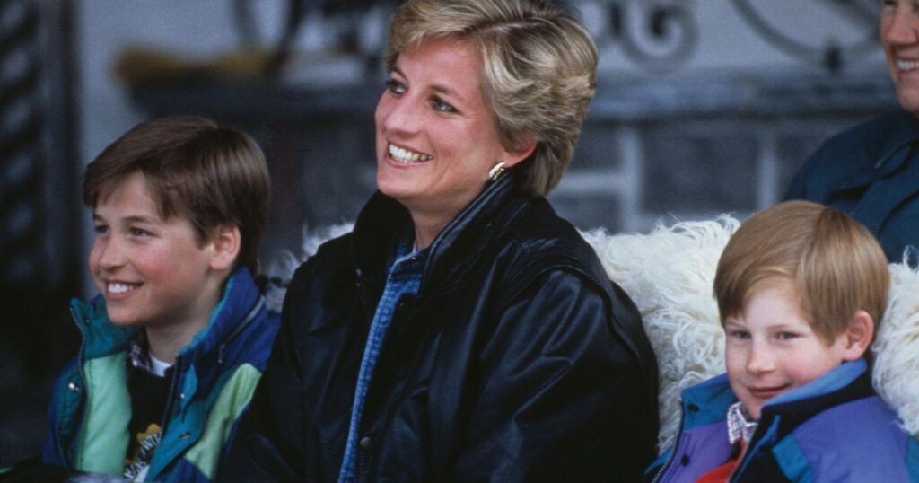 ‘I worked for Princess Diana and know Prince Harry and Prince William were warned’ Ipso logo