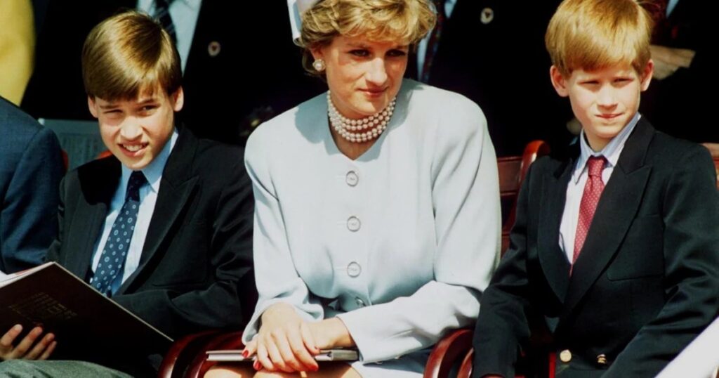 Why Royal Experts Are Weighing In on William and Harry Rift
