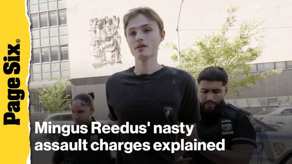 Mingus Reedus' nasty assault charges explained — as he spars with reporters