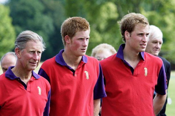 King Charles, Prince Harry And Prince William