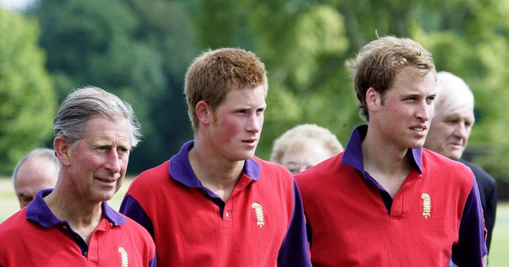 ‘I faced Prince Harry, Prince William and King Charles at polo and one really impressed me’ Ipso logo
