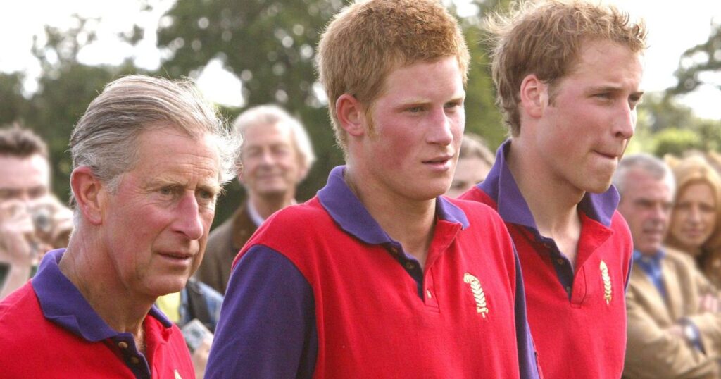 ‘I faced King Charles, Prince Harry and William at polo and one of them is pretty good’ Ipso logo