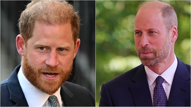 Prince Harry’s Diana Documentary Plans Could Be the…