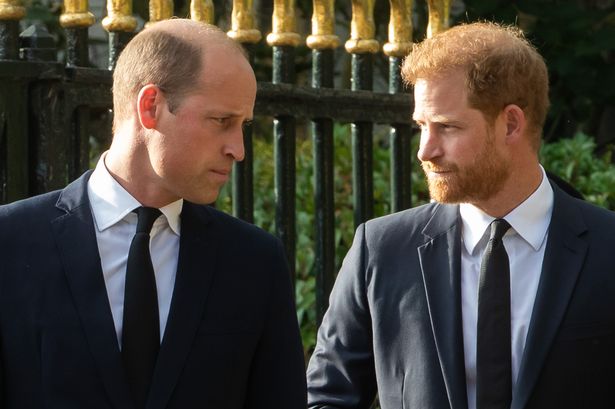 Prince William and Prince Harry, both in suits, stood in an outdoor area.