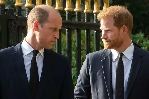 Prince William and Prince Harry, both in suits, stood in an outdoor area.