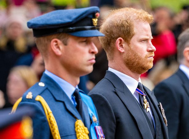 Prince William, Prince Harry