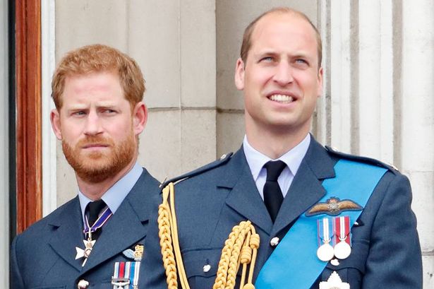 Prince Harry's big moment is coming up, an audience with the King, but his brother will not be there to support him, it's being reported 