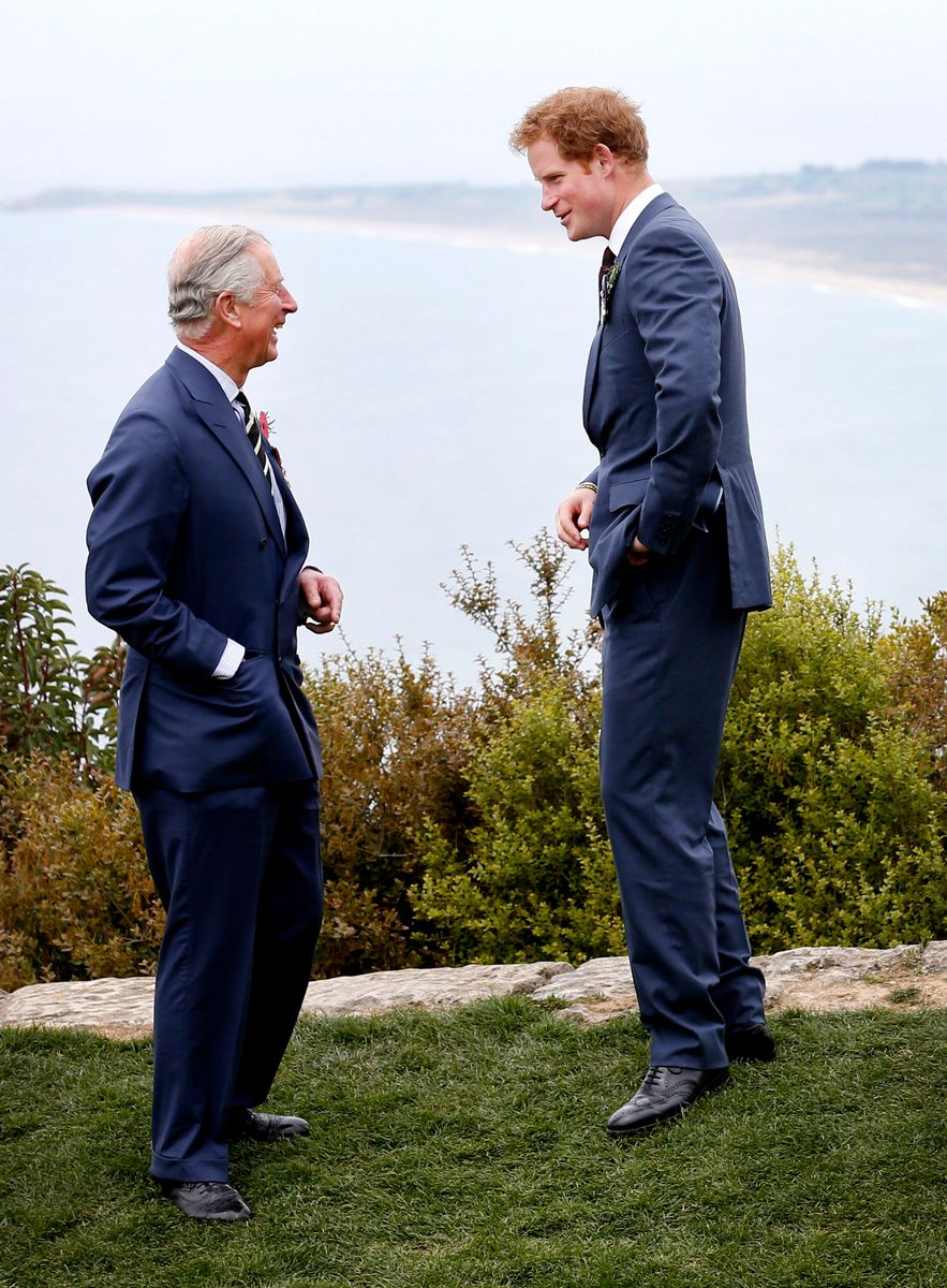 Prince Harry chats with King Charles