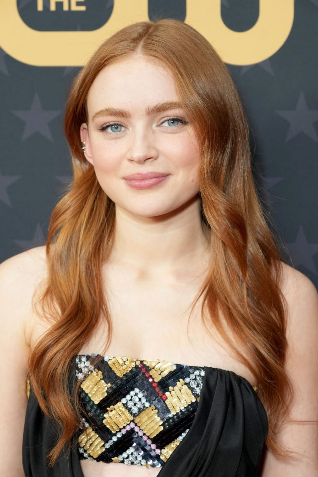 Sadie Sink | 28th Annual Critics Choice Awards 15th January 2023