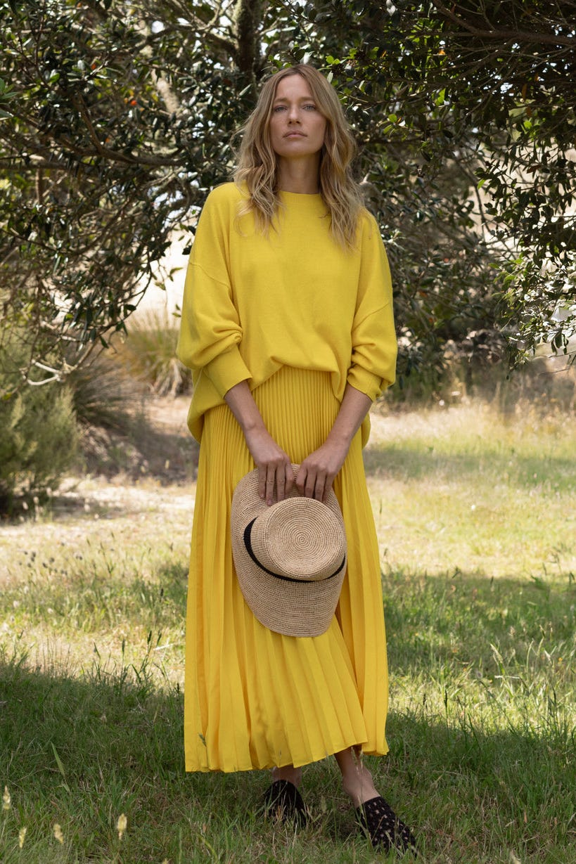 Pleated Skirt