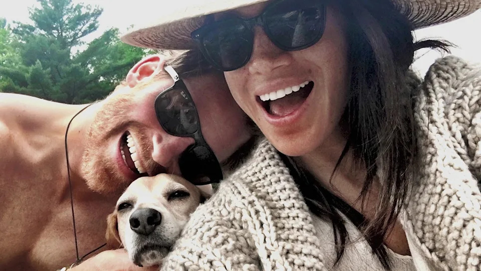 A close-up of Meghan Markle and Prince Harry wearing sunglasses and smiling while holding their dog.