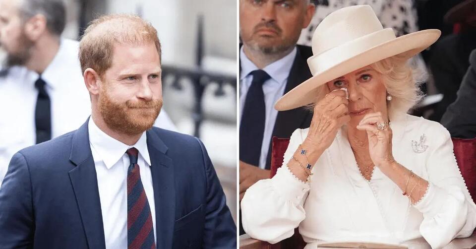 Ex-Royal Butler Slaps Down Prince Harry's Brutal Claim About Queen Camilla