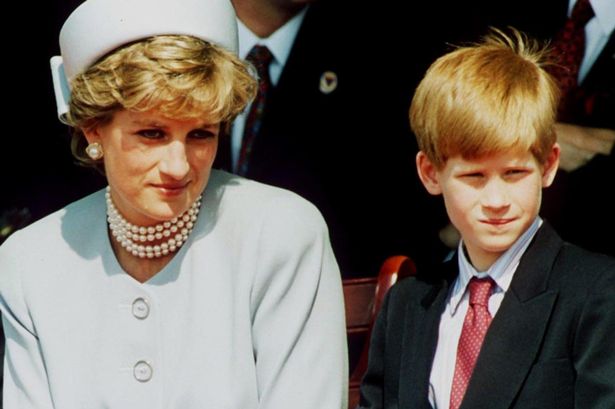 Prince Harry, Princess Diana