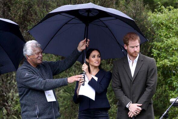 Prince Harry and Meghan would ‘only be rolled out on rainy days' if they return to UK