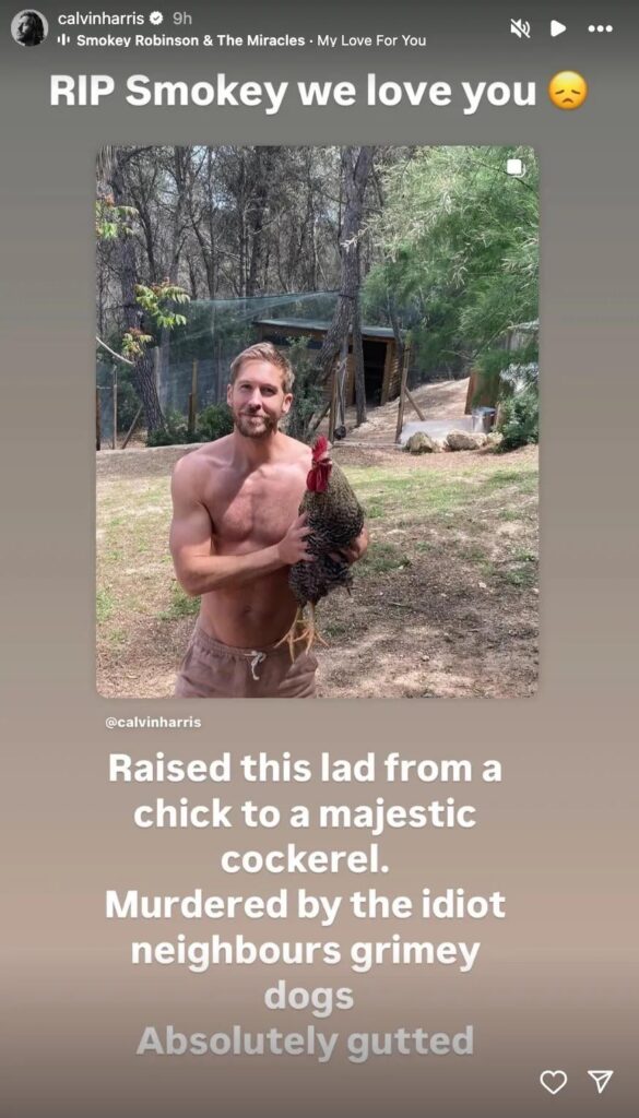 Calvin Harris shares that his pet rooster who he raised since it was a chick was "murdered by the idiot neighbours grimey dogs"