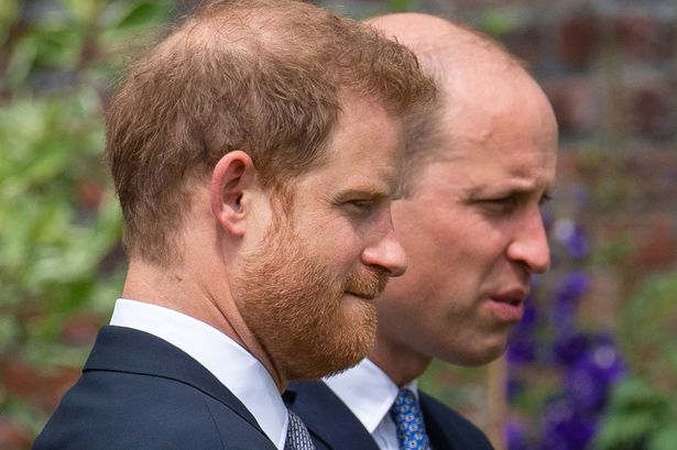 Prince Harry and Prince William