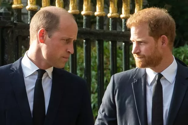 Prince William, Prince Harry