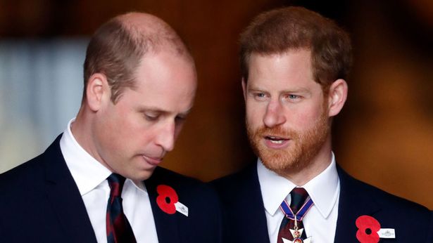 Prince William, Prince Harry