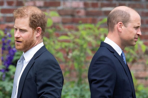 Prince Harry, Prince William