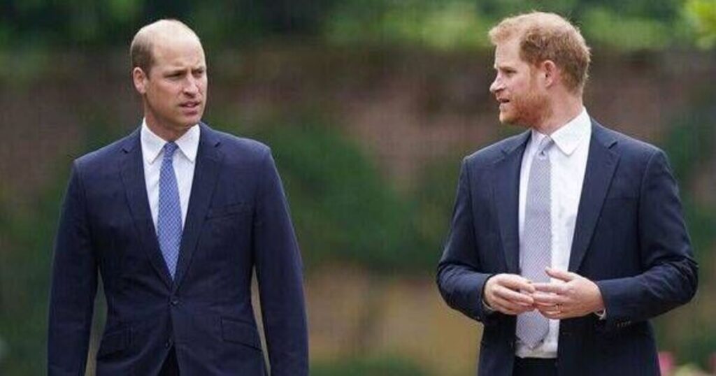 William 'too hurt' to forgive Harry after 'cruel' remarks about Kate - Celebrity News - Entertainment