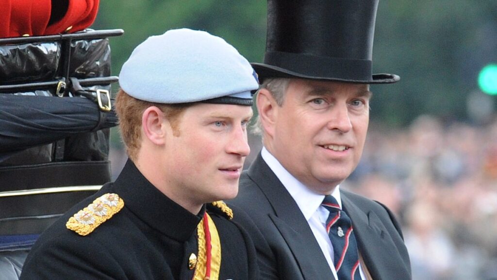 Prince Harry breaks silence over ‘physical fight’ with Prince Andrew and comments on Meghan Prince Harry breaks silence over 'physical fight' with Prince Andrew and comments on Meghan