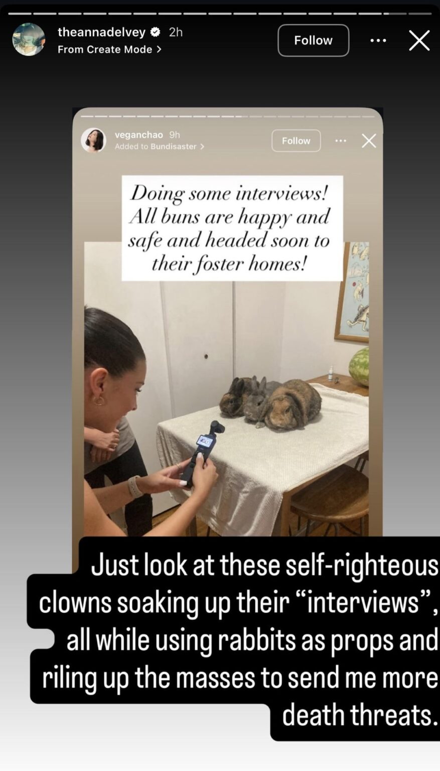 The Anna Delvey Bunny Dumping Saga Part 3- Anna Delvey is now attacking the people who rescued the bunnies dumped from her photoshoot. She previously threatened to sue one of the rescuers.