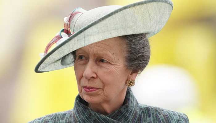 Princess Anne: File photo