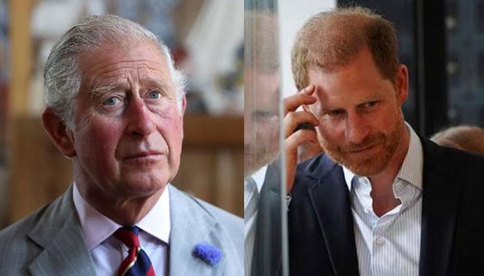 Prince Harry’s efforts to reconnect with King Charles met with caution