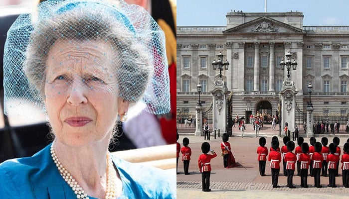 Buckingham Palace honours Princess Anne amid rift with Prince William