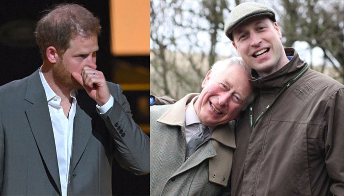 Prince Harry is starting to reek of desperation, insider breaks silence