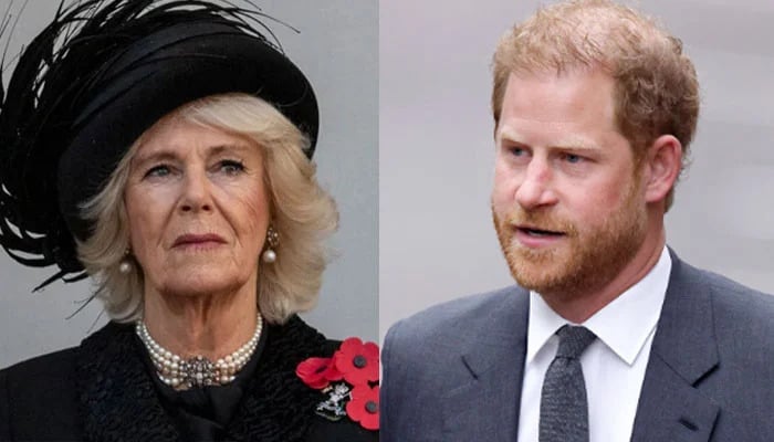 Prince Harry ‘silly times with Queen Camilla laid bare