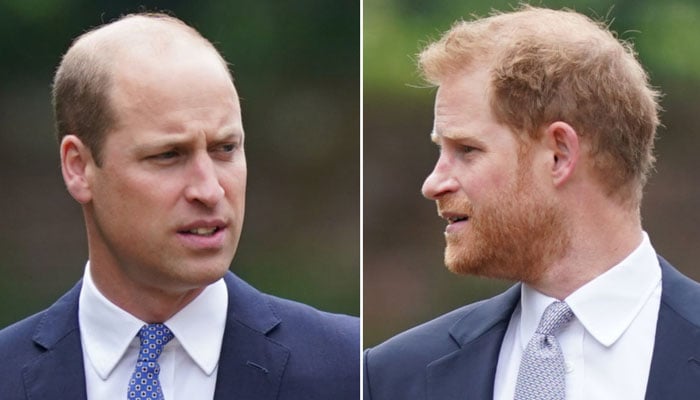 Prince William ‘furious with Prince Harry amid ‘deep rift