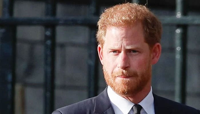 Prince Harry expects ‘great deal of safety from ailing King Charles