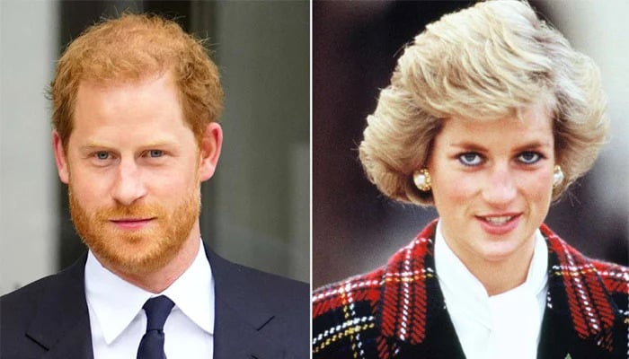 Prince Harry told to not speak about Princess Diana ‘from his lens